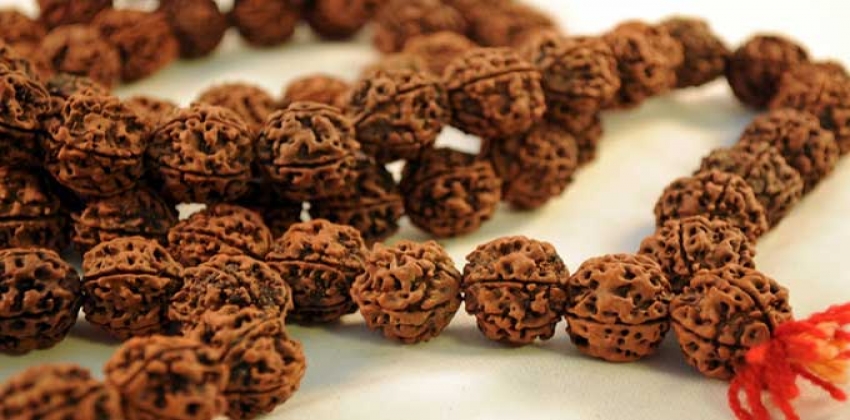Getting Familiar With Different Types Of Powerful And Sacred Rudraksha Bead