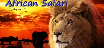 Guidelines For Planning A Perfect African Safari Vacation