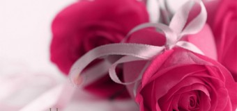 Rose Day – Initiating The Week Long Celebration Of Love