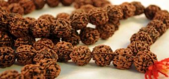 Getting Familiar With Different Types Of Powerful And Sacred Rudraksha Bead