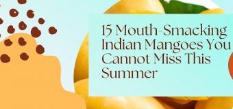 15 Mouth-Smacking Mangoes In India belongs to Indian Culture