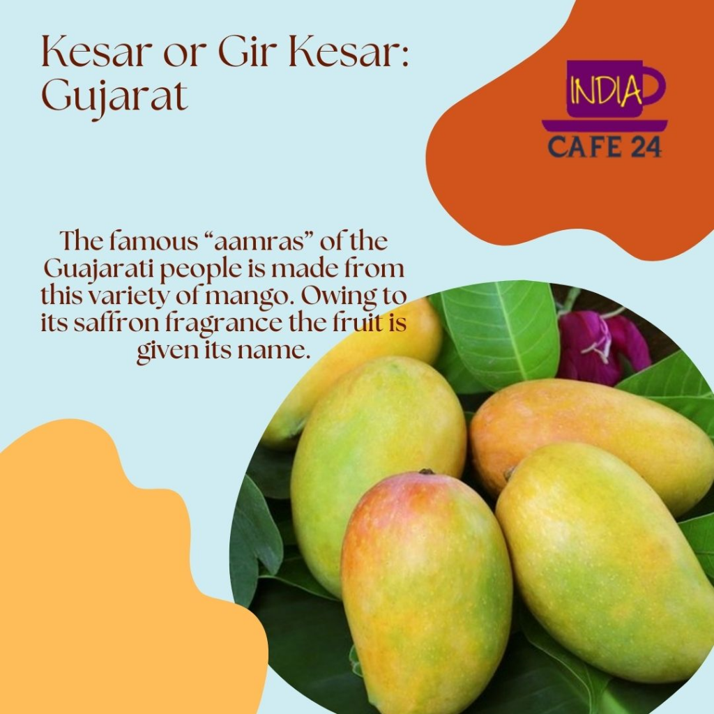 Indian Culture - Mango - Kesar in Gujrat