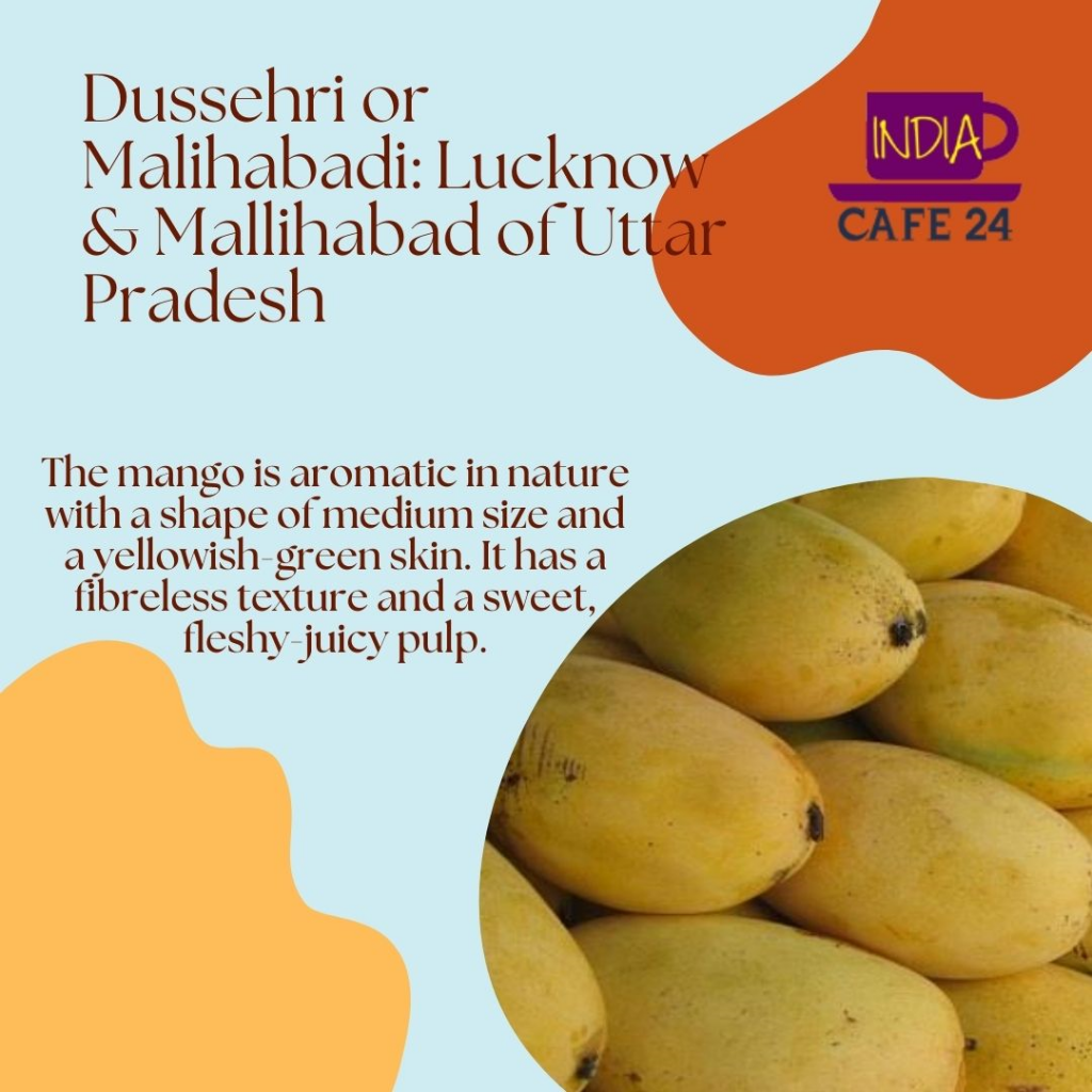 Dussehri Mango - Madhya Pradesh - Indian Lifestyle