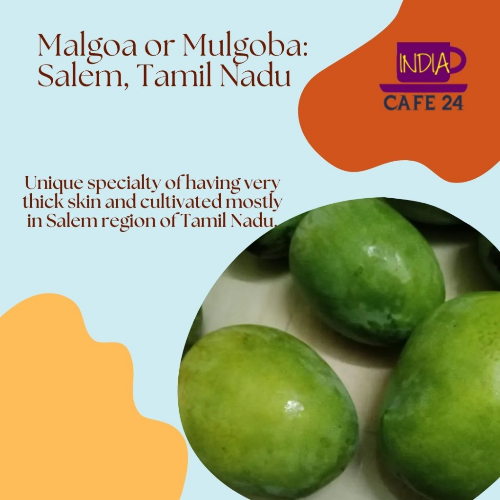 Tamil Nadu - Mango fruit in India