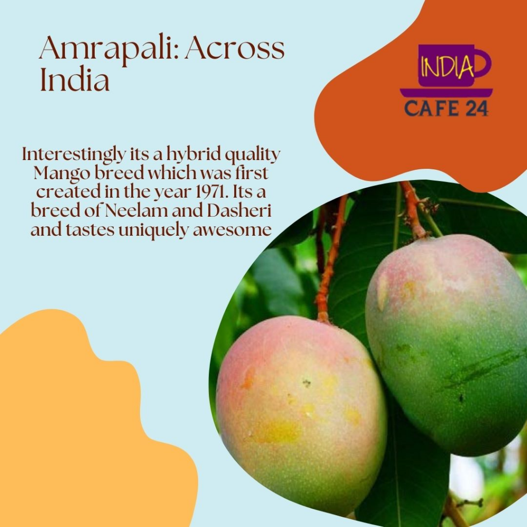 Amrapali - Indian Fruit Mango