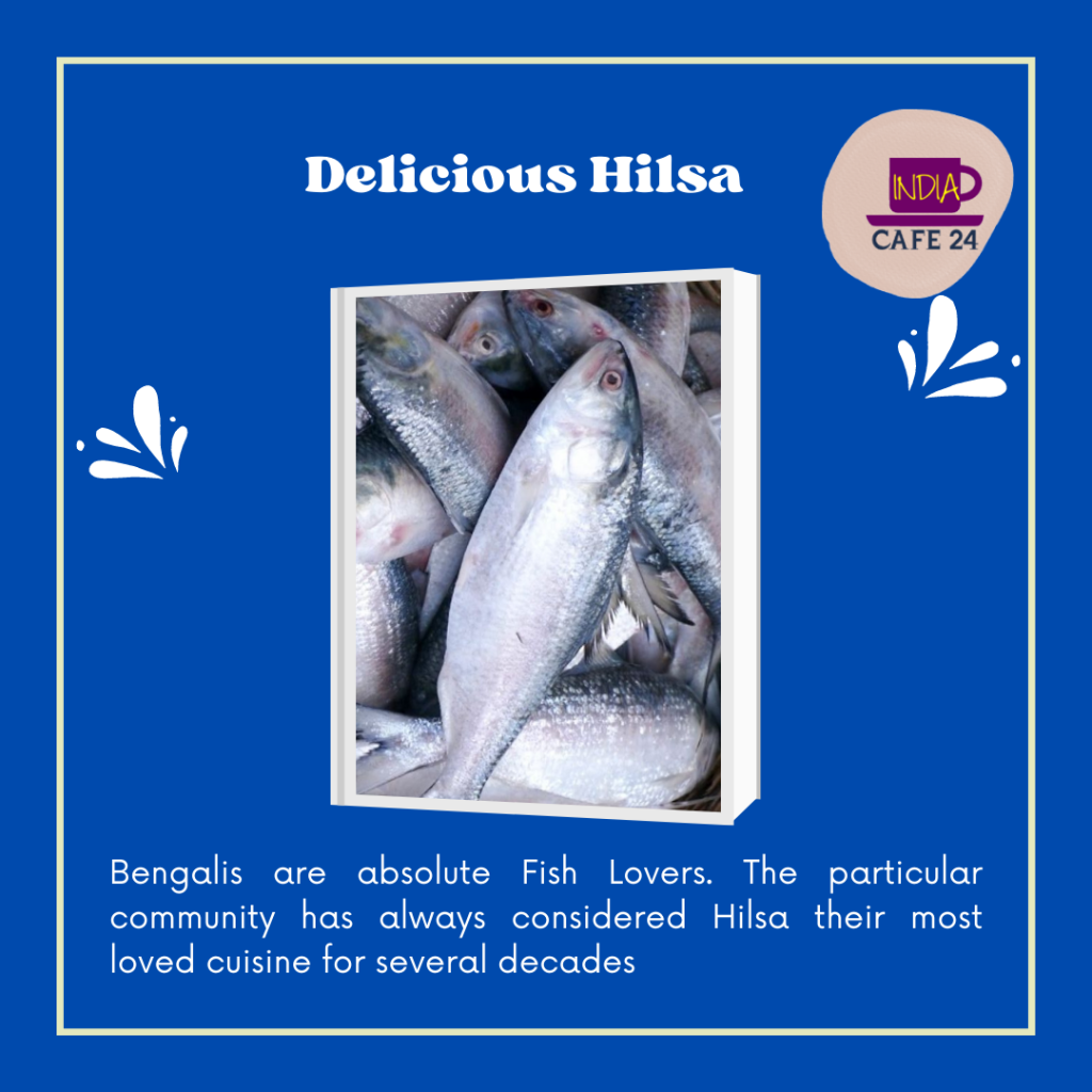 Delicious Hilsa - Fish - IndiaCafe24