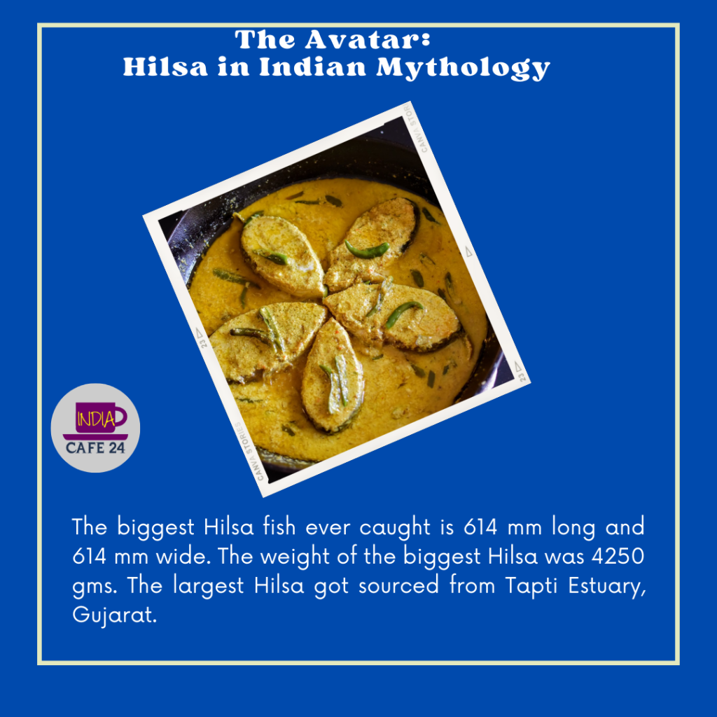 Hilsa in Indian Mythology - IndiaCafe24