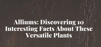 Alliums: Discovering 10 Interesting Facts About These Versatile Plants