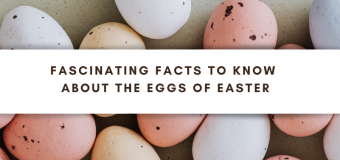 Fascinating Facts To Know About The Eggs Of Easter