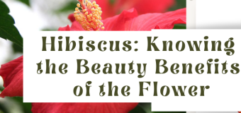 Hibiscus: Knowing the Beauty Benefits of the Flower