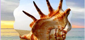 Sankh or Conch- Significance in Hinduism