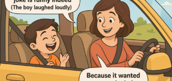 C- Car on a Wonder Ride